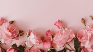 Cách Chọn Hoa Tươi Phù Hợp Cho Từng Dịp Quan Trọng