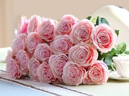  Bông hoa hồng valentine